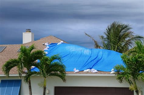 waterproof tarp for roof